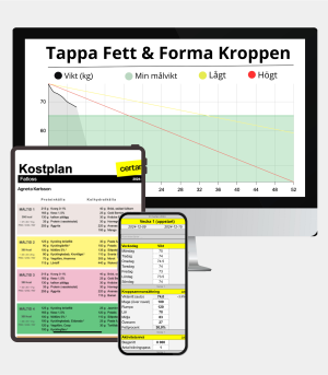 Tappa fett: Individanpassat kostprogram